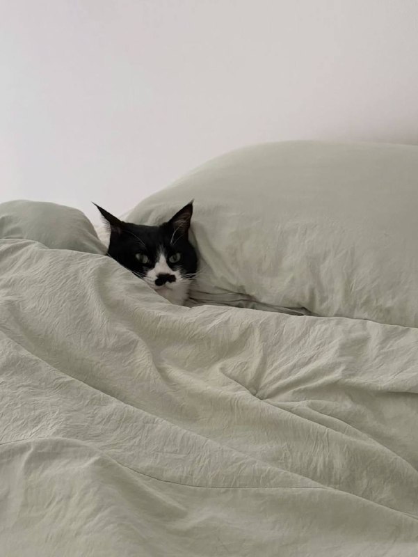 Ну идем уже споть, я же жду тибя в кроватке :3