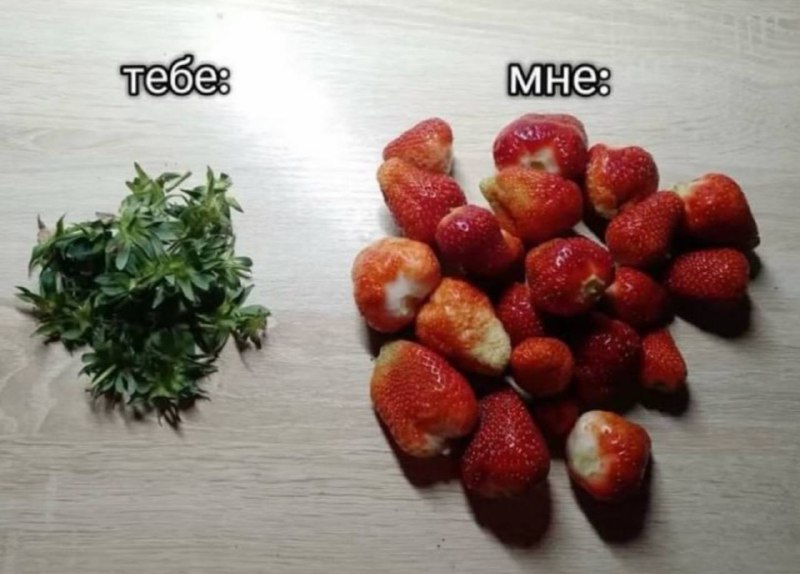 Мы?