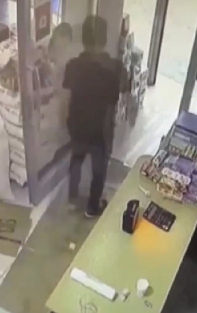 «Все кошки словно хорошо прячущиеся призраки»: в Турци...