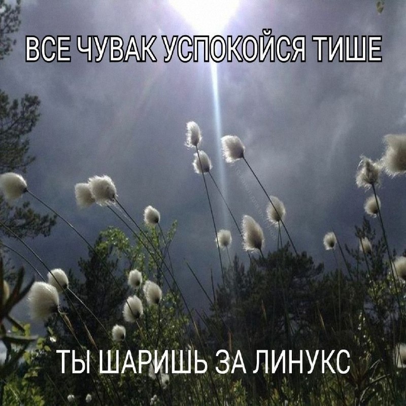 Утренняя подборочка