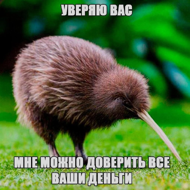 Ночная подборочка
Спать, режим