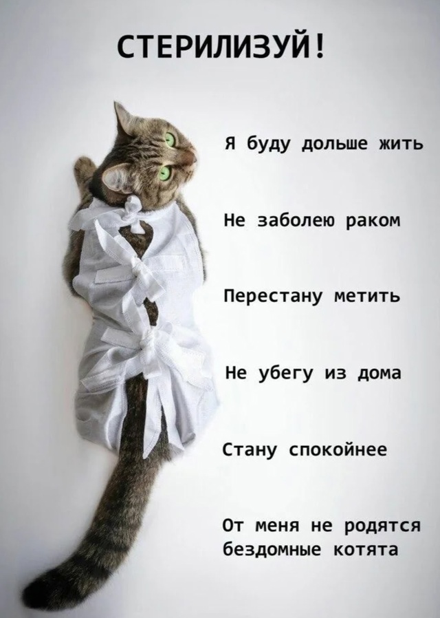 📣📣📣 [club223634676|Напоминаем жителям] нашего района, что 1...