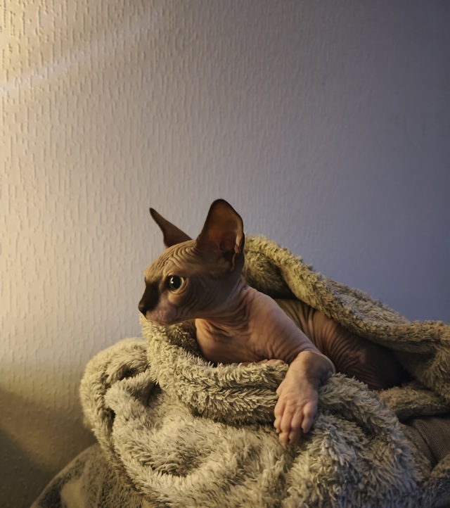 Мистер Уксус :3