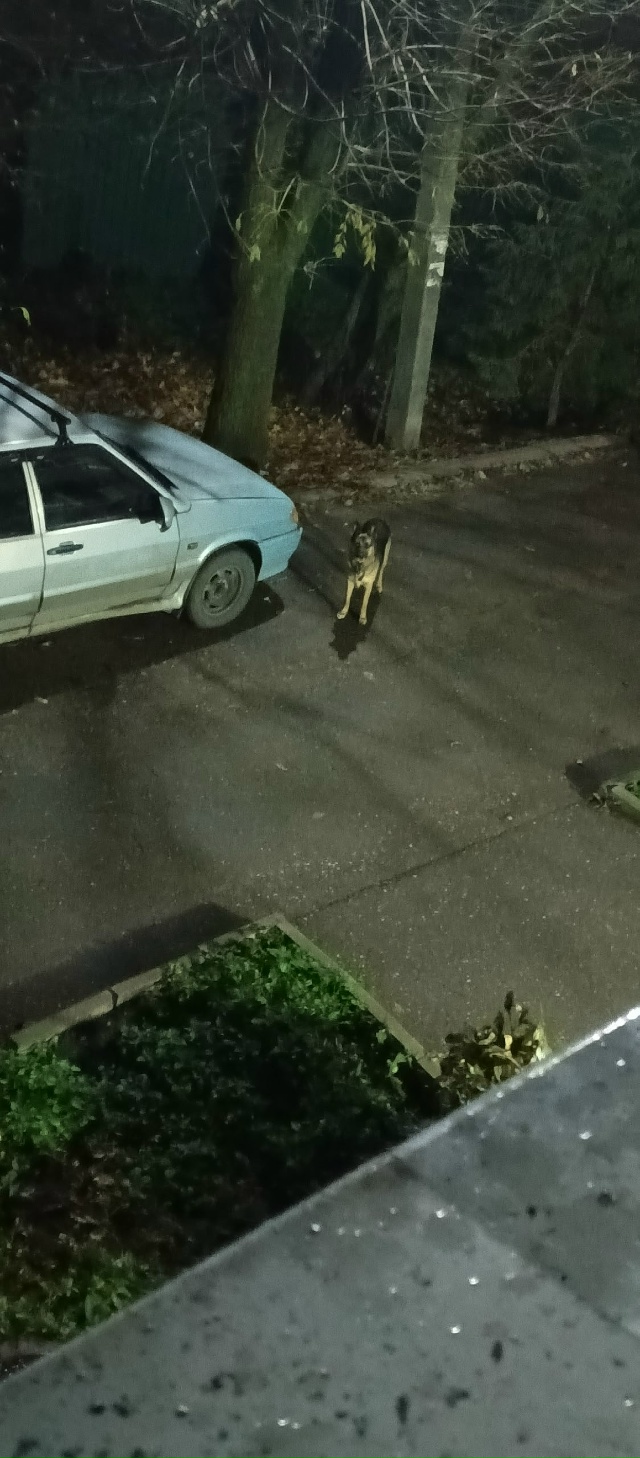 Админ опубликуй пожалуйста 🙏 Доброго времени суток, к...