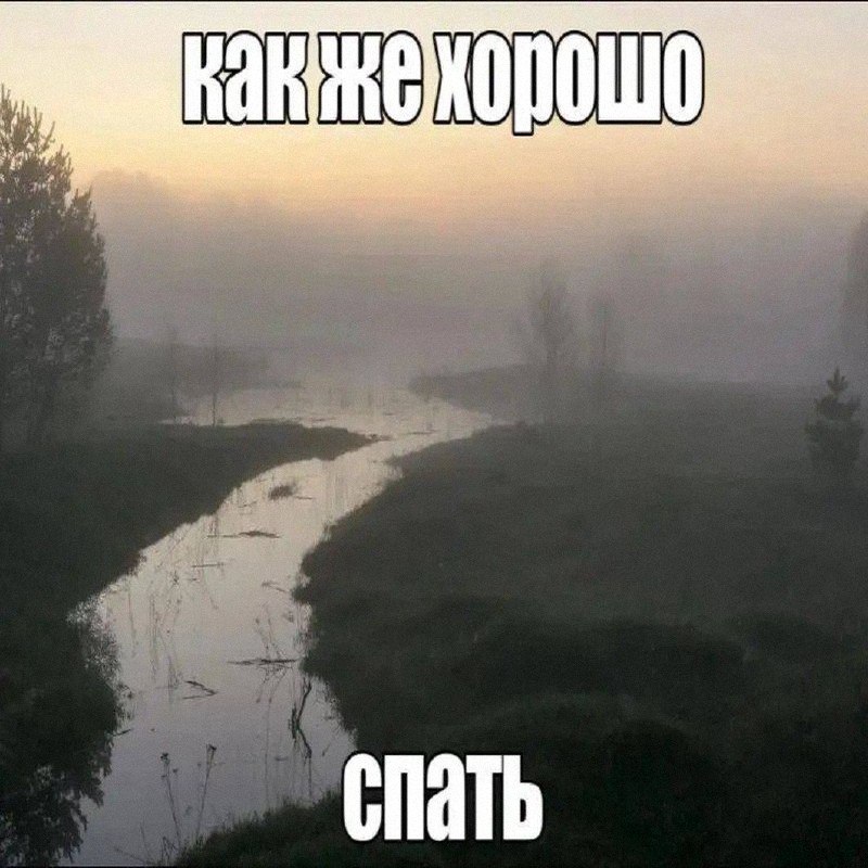 Утренняя подборочка