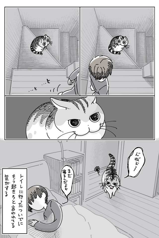 #Yoru_wa_Neko_to_Issho / Вечера с кошкой
