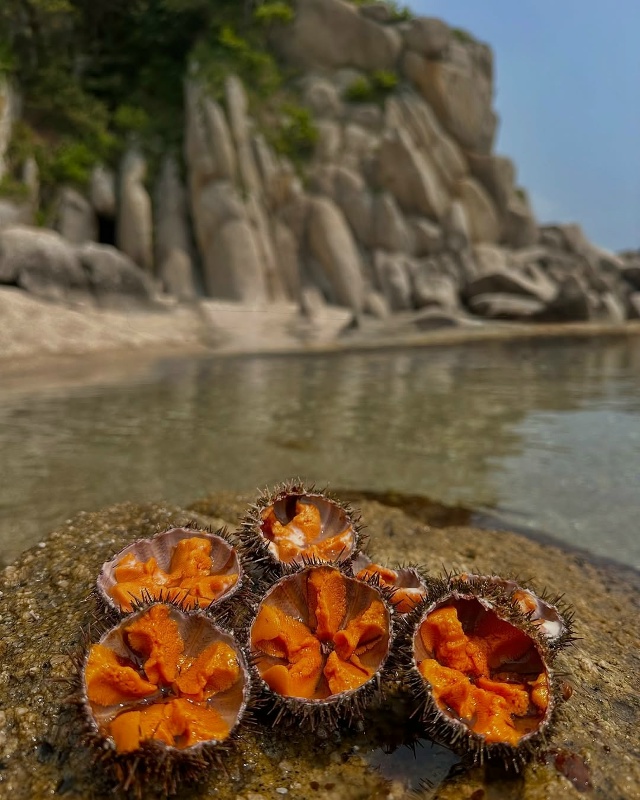 Приморский край 🇷🇺