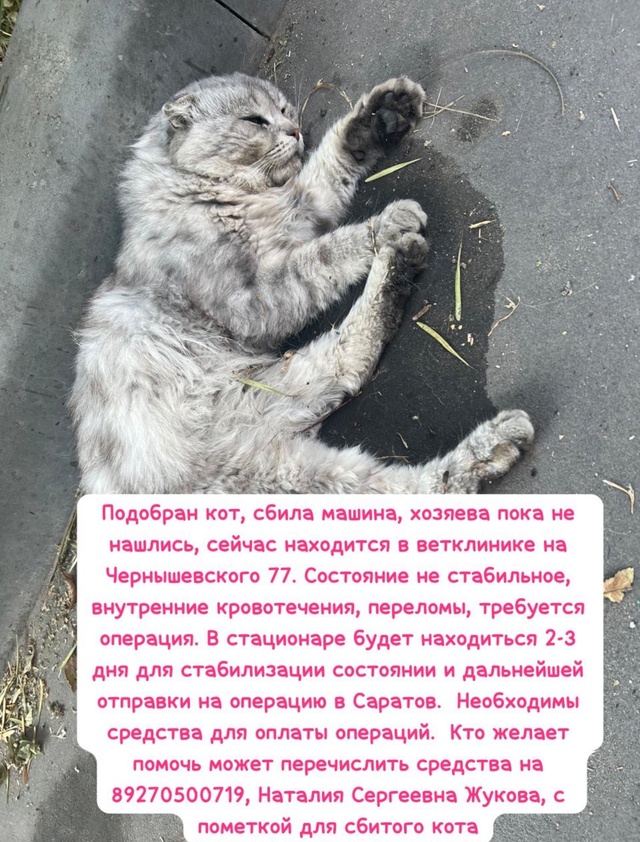 [id710366829|Любовь Гуськова]