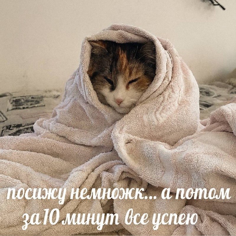 Утренняя подборочка