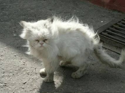 настроение понедельник