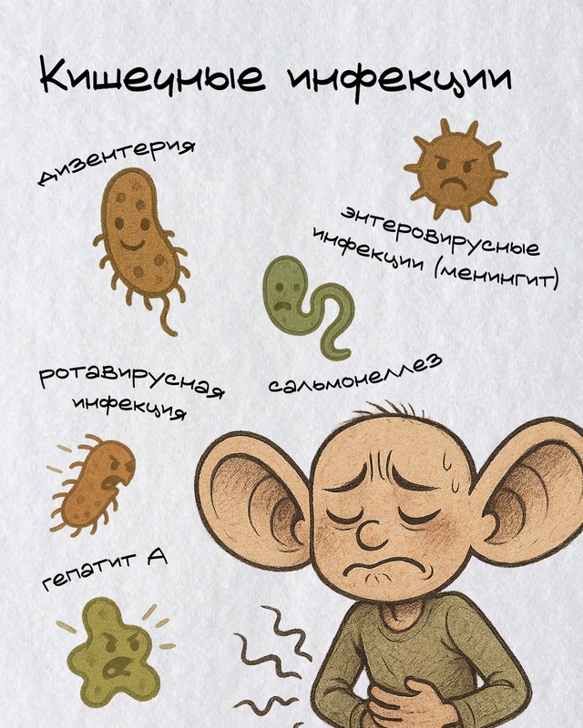 🦠 Ротавирусная инфекция и холера
Увидели на диком п?...