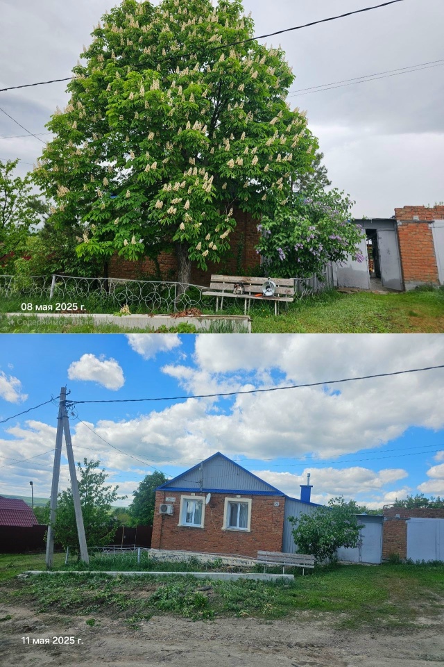 🚜 ПРЕДОСТАВЛЯЕМ УСЛУГИ ПО ДЕМОНТАЖУ, СПИЛУ ДЕРЕВЬЕВ И...