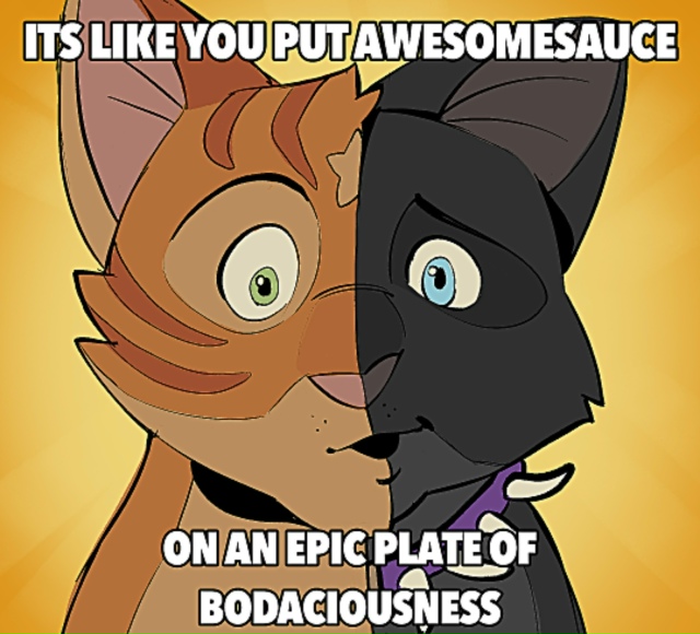 Лунолапка — кошка, в которой по нелепой прихоти судьбы...