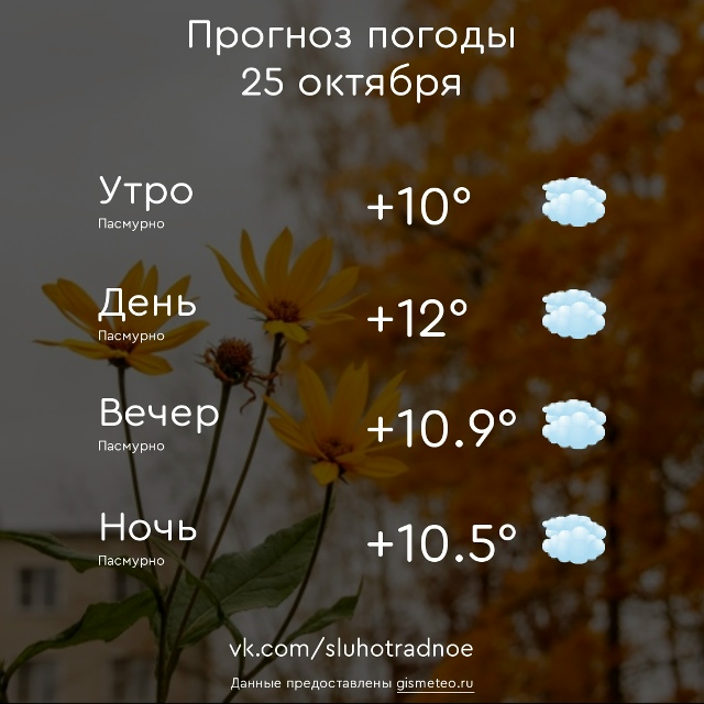 ⛅ Доброе утро, Отрадненцы! Всем продуктивного и приятн...