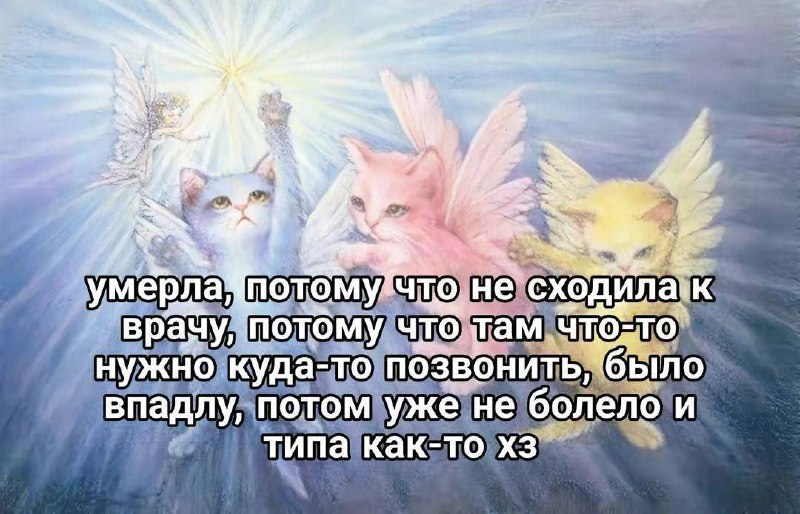 Утренняя подборочка