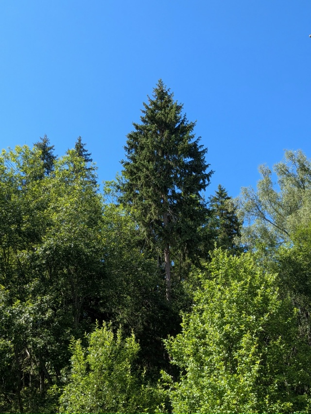 Доброй ночи, Никольск❤