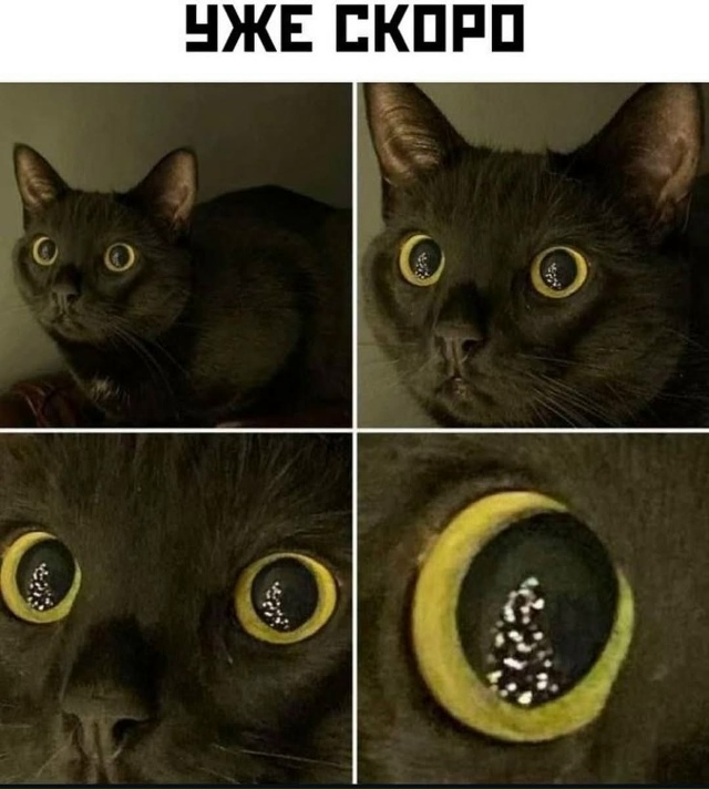 Новый год не за горами