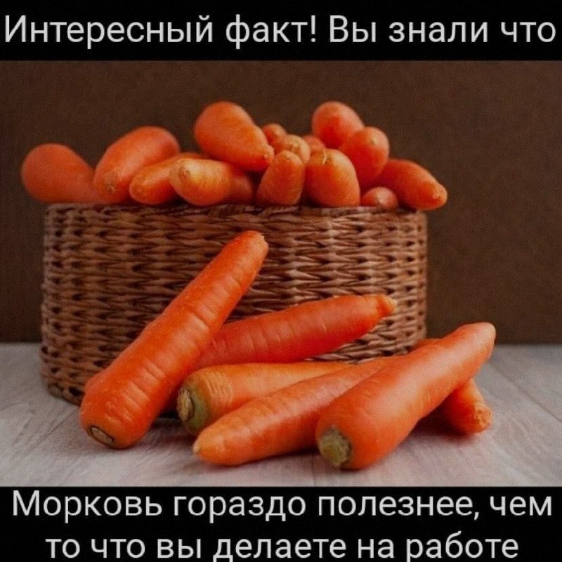 Ночная подборочка
Выходные, не спим