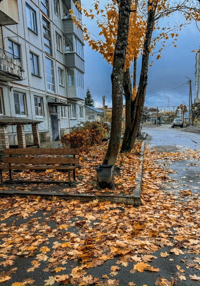 Осень в Окуловке