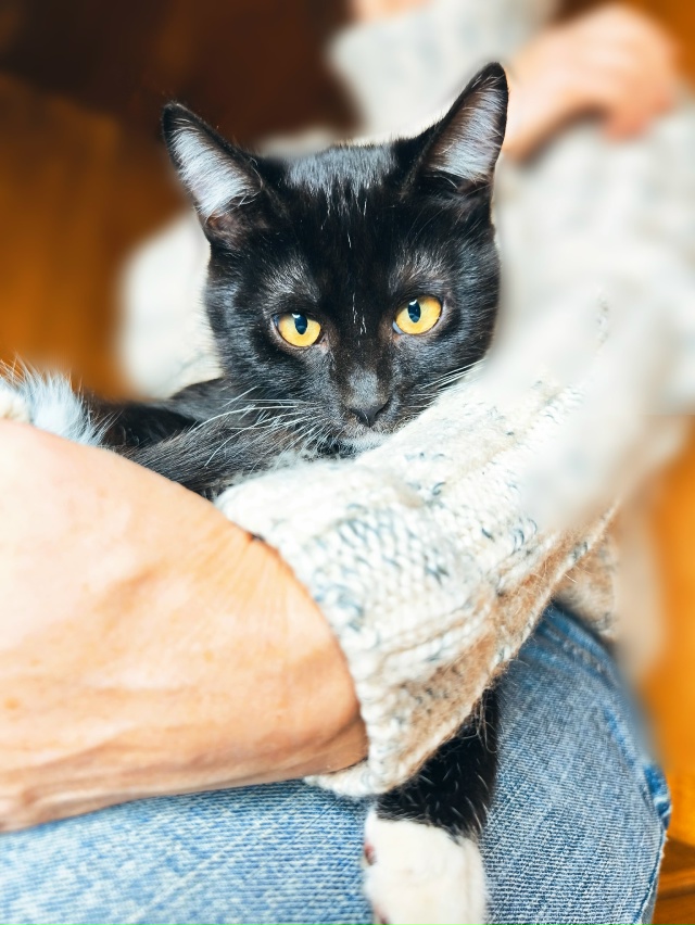 Сестрицы Милашка и Кнопочка, очаровательные девчонки ?...