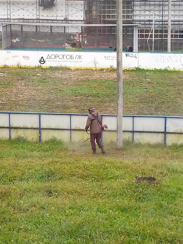 Два дня жужжит покоя не даёт и смысл не понятен.ч🤔🤔🙄