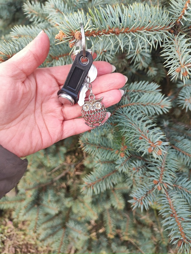 Найдены ключи между ост. Почта и ТЦ Калинка. Повесили н?...