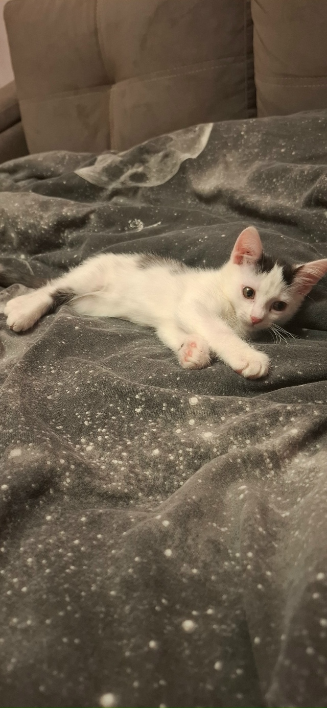 Ежедневно в 21 час по местному времени Ваши вопросы.
1⃣ ...