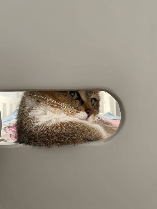 Дамочька, куда едем???? Тока потом поставьте пятб звезд в преложении!!!!!!