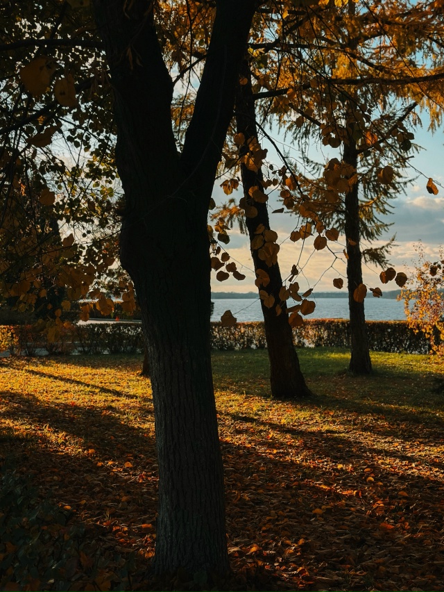Осень на Орловской набережной Самары