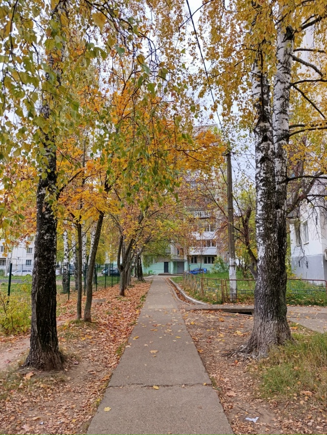 Фото: Lyubava lv