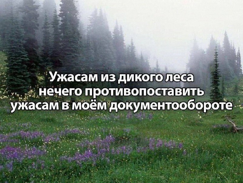 Утренняя подборочка