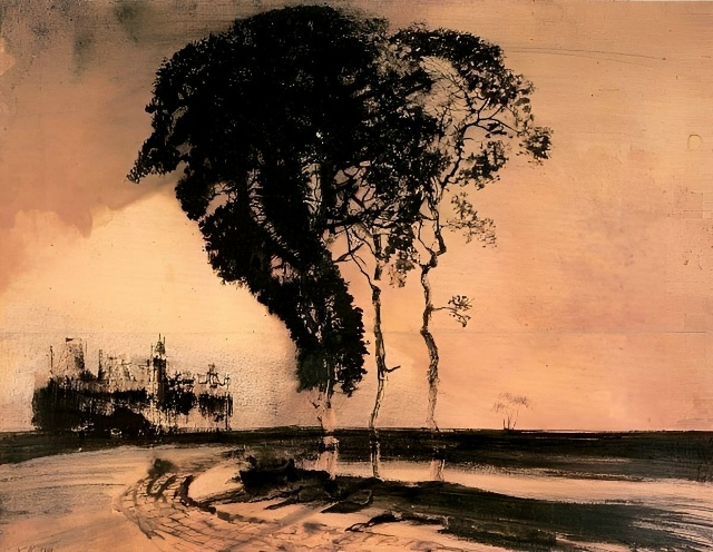 Наряду с занятиями литературой Виктор Гюго любил рисо?...