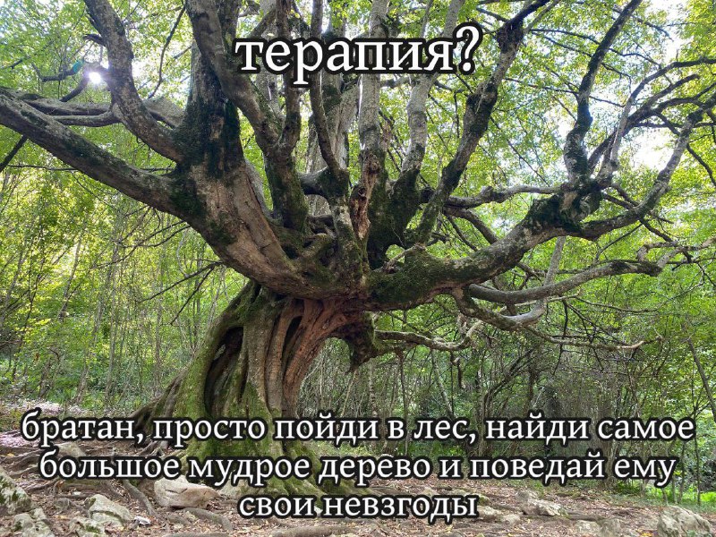 Утренняя подборочка