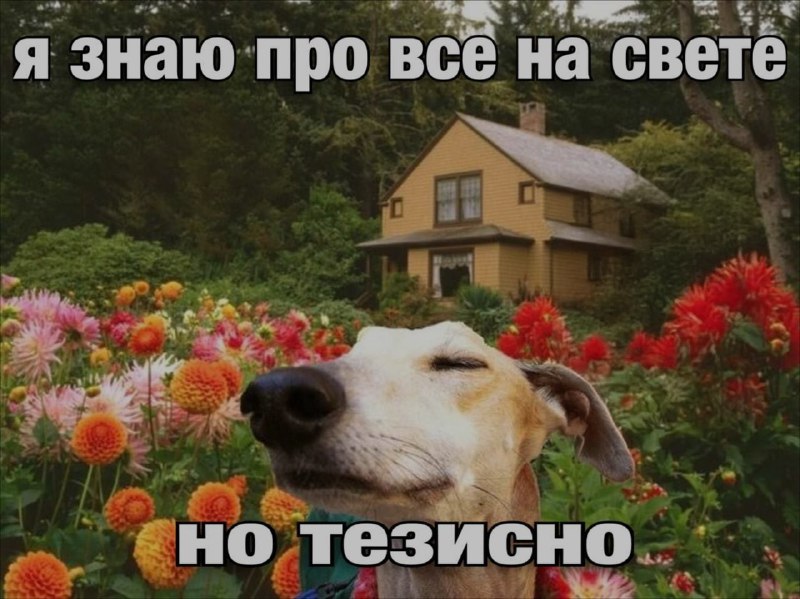 Ночная подборочка
Спать, режим