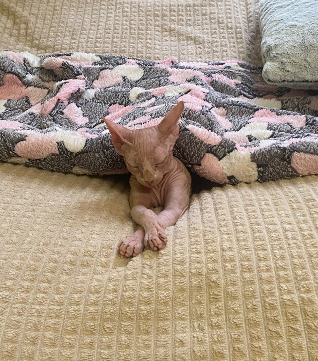 ?Мэджик ✨ Часть 1