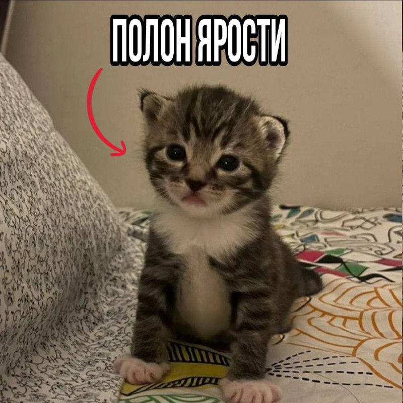 Утренняя подборочка