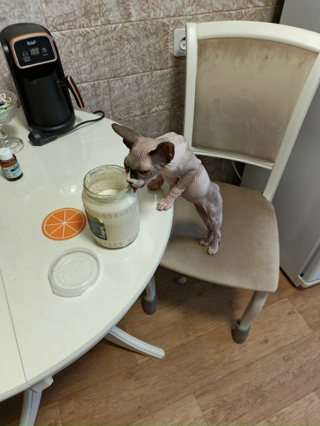 Ириска наслаждается