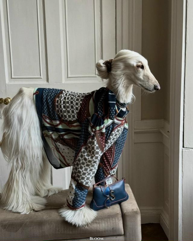 Что вы вообще знаете о стиле? Что?
Это собака Саманта —...