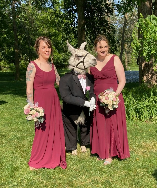 У этой пары на свадьбе в роли шафера выступила… их соб?...