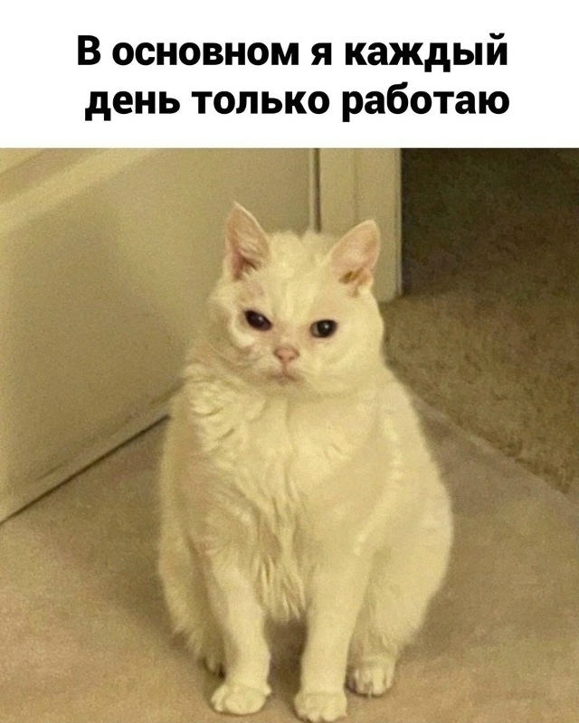рабочие будни