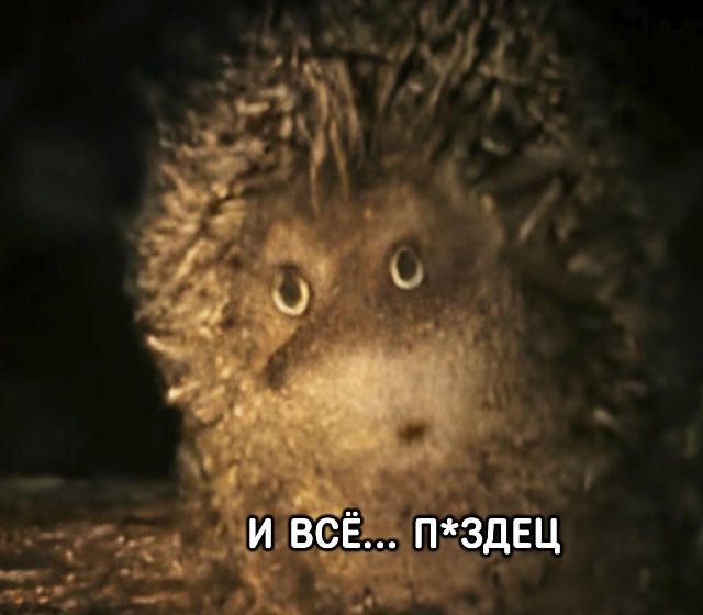 Ситуация, которая случается с каждым из нас