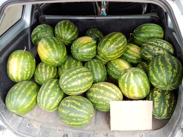 Продам арбуз. Очень вкусный. Есть доставка по Акбулаку....