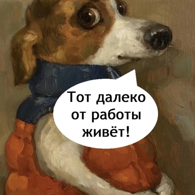К сожалению