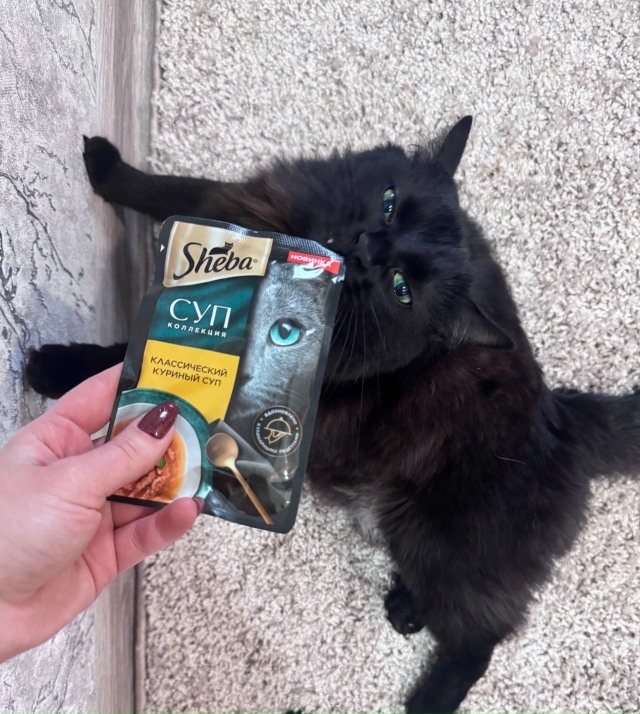 Пушистая Чёкупила в деле ??‍⬛