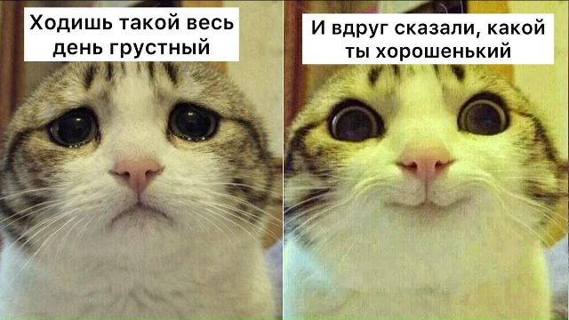 ⚡️ Комплименты помогают уменьшить стресс, отмечают в?...