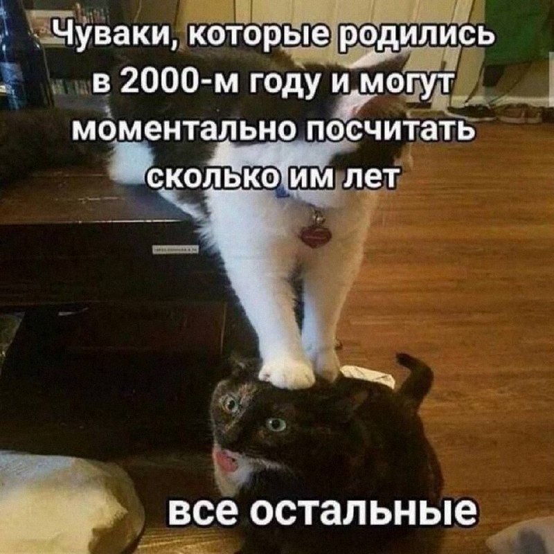 Утренняя подборочка