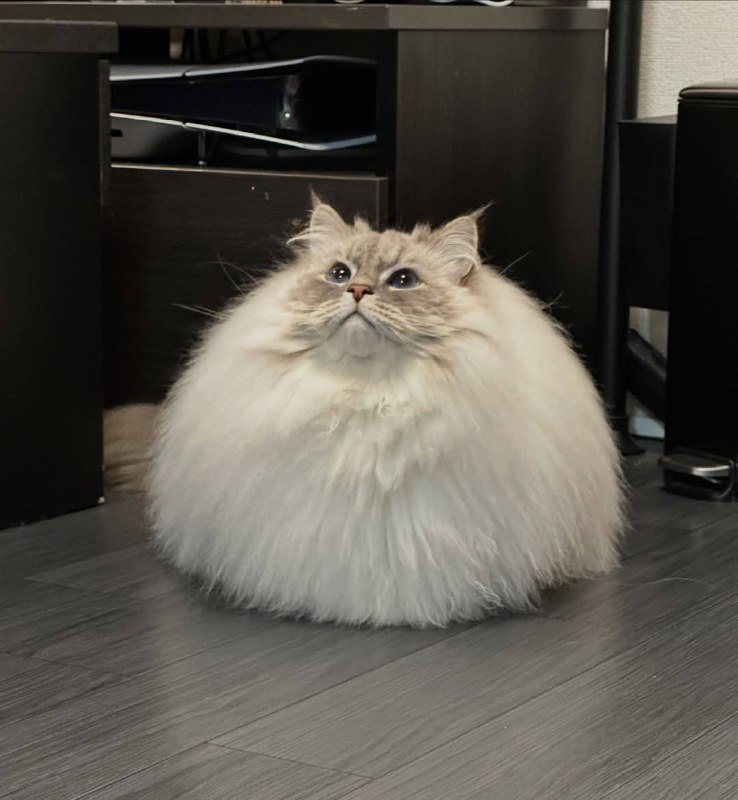 Грозовое облачько :3