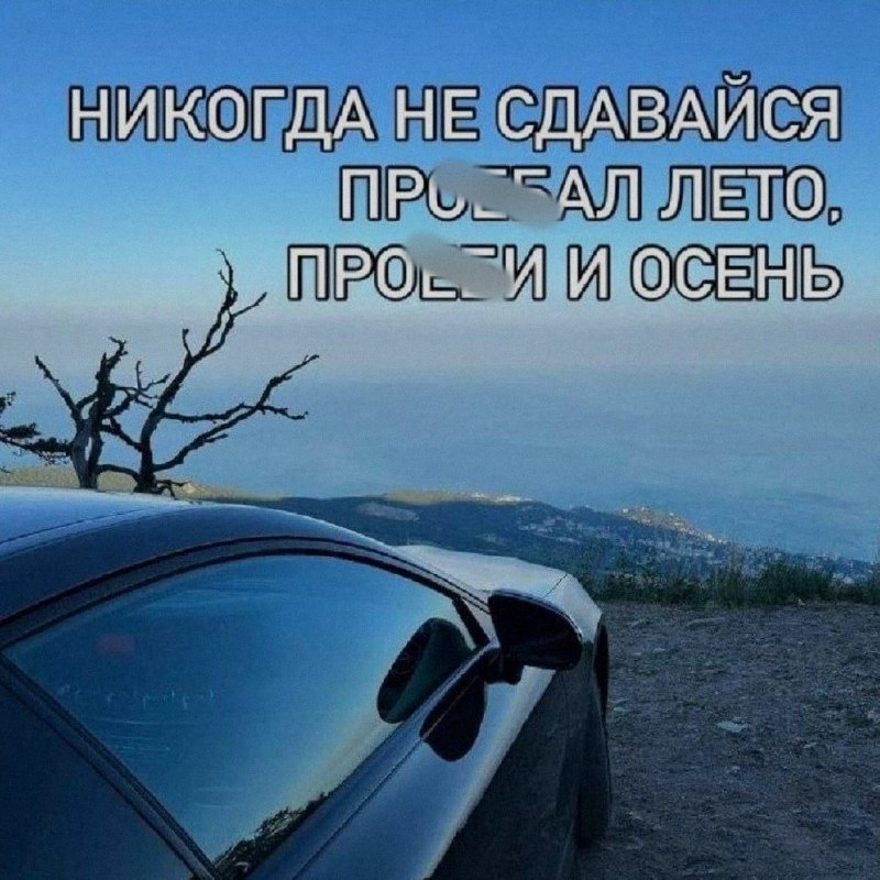 Ночная подборочка
Выходные, не спим