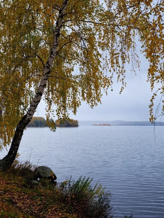 Красота осенней природы😍