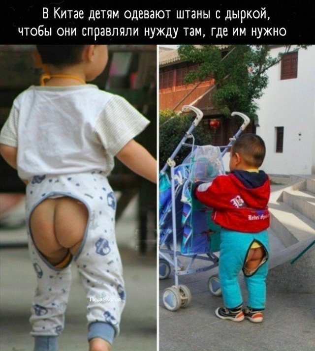 Многие пользователи в сети осудили такие 